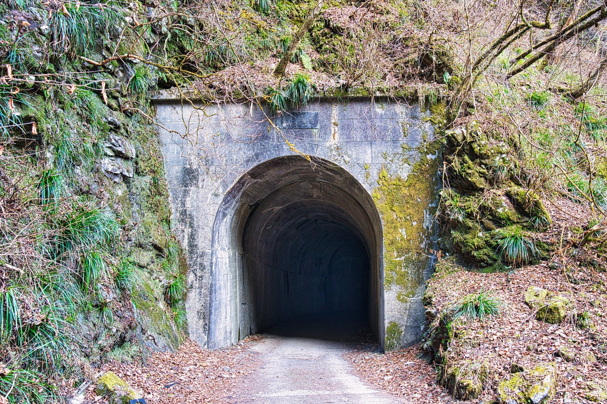出口の見えないトンネル